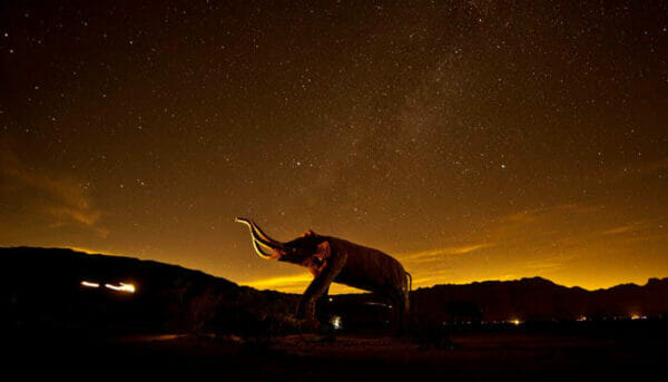 Borrego - Night Photography