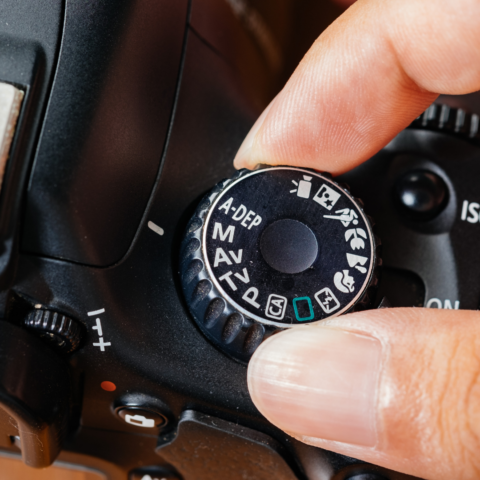 Digital Photography Classes For Beginners - Courses & Bundles